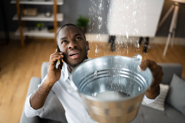 Best Local water damage restoration  in Affton, MO