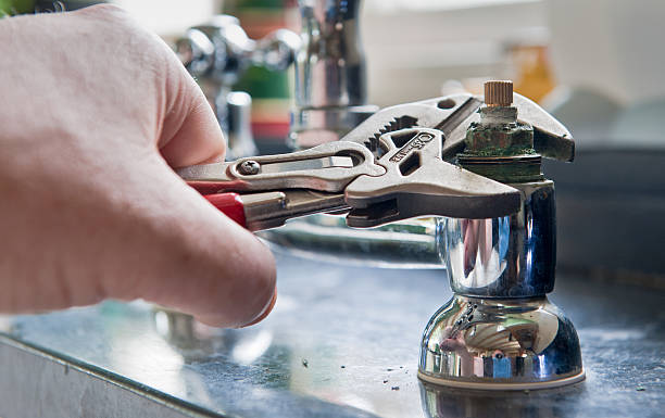 Best Professional water damage repair  in Affton, MO