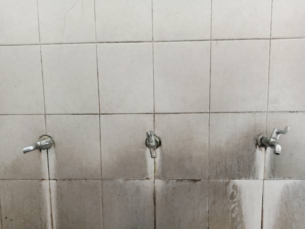 Best Water damage restoration services  in Affton, MO