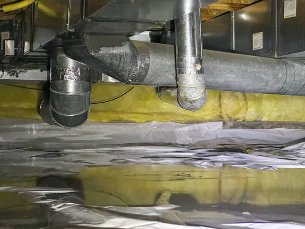 Best Water damage contractors near me  in Affton, MO