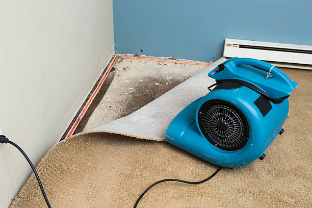 Best Ceiling water damage repair  in Affton, MO